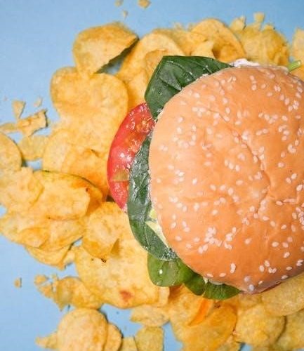 calorie deficit meal plan pdf