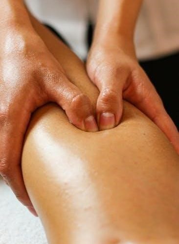 sunbeam pressure multi cooker manual