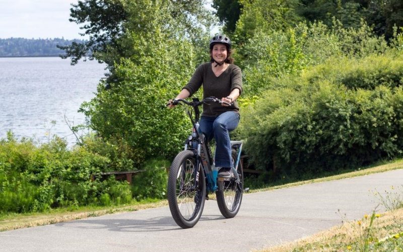 vivi e bike manual